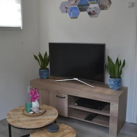 Holiday home Zomerhuis 
