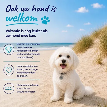 Zomerhuis 