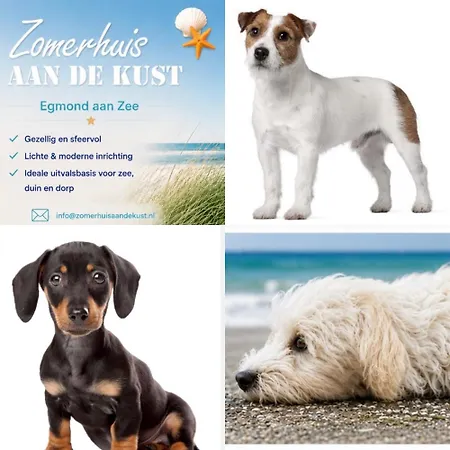 Zomerhuis 